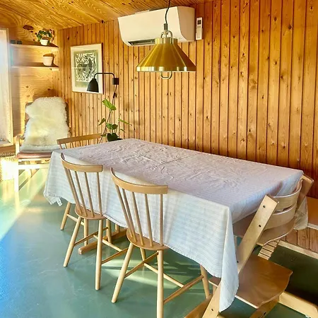 Architect-designed 1960s House Near Svinklov