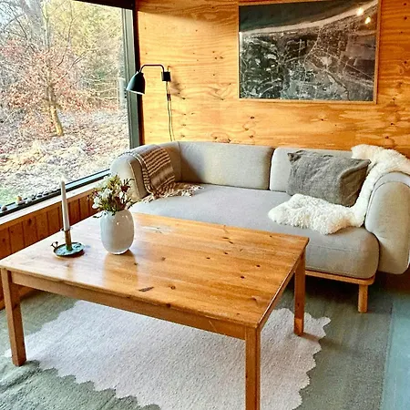 Architect-designed 1960s House Near Svinklov *