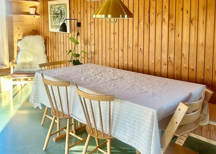 Architect-designed 1960s House Near Svinklov