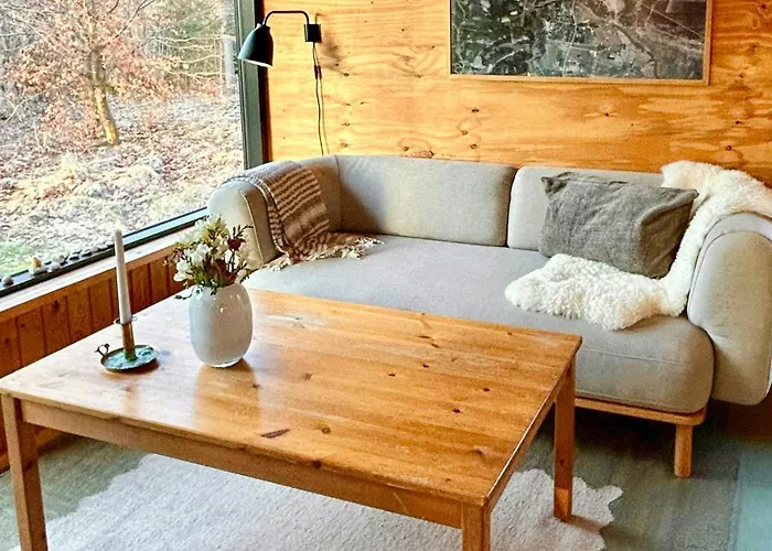 Architect-designed 1960s House Near Svinklov *